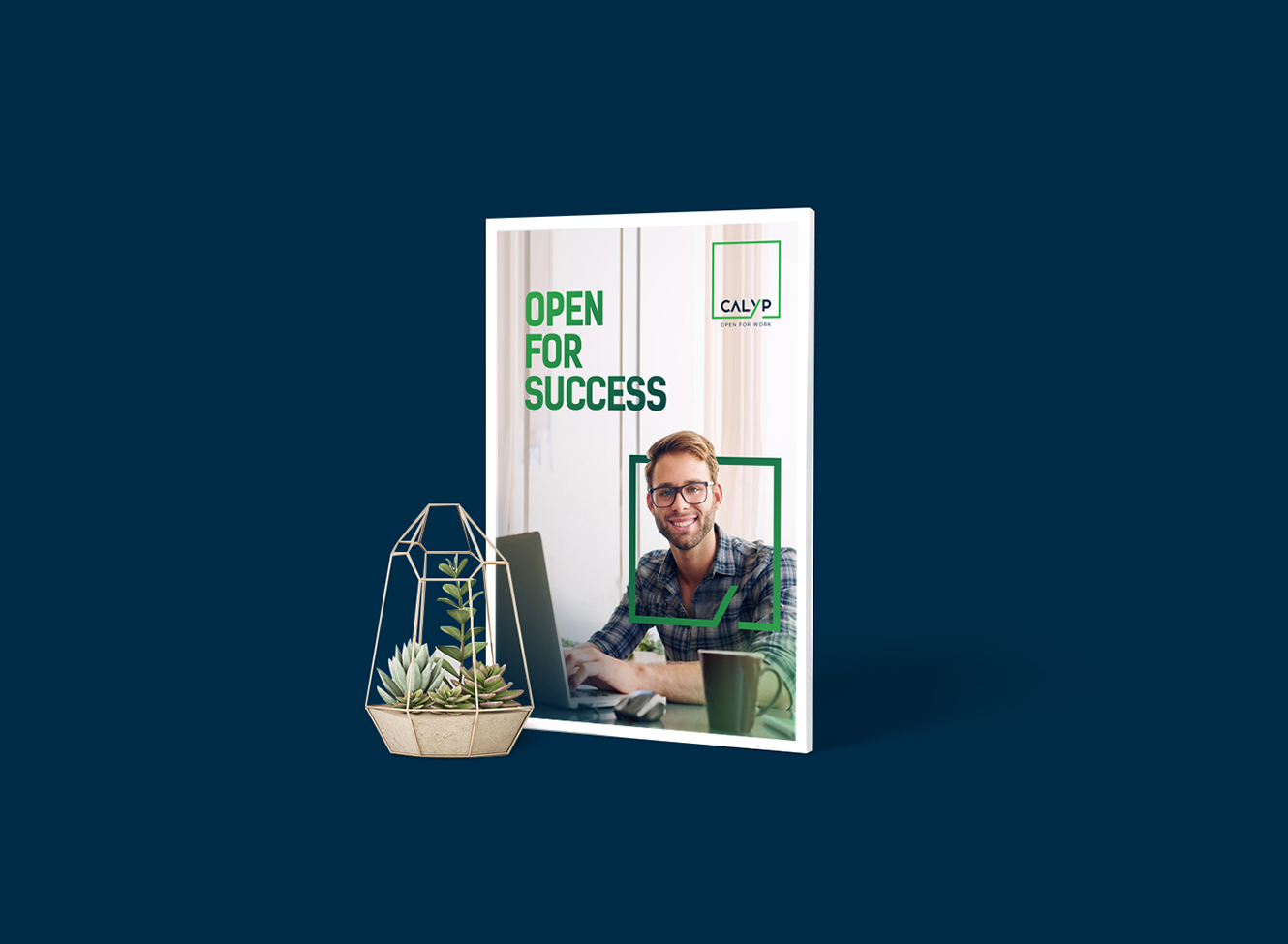Calyp - Inspiring Platform for Entrepreneurs