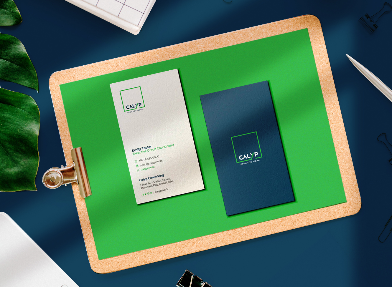 Calyp - Inspiring Platform for Entrepreneurs