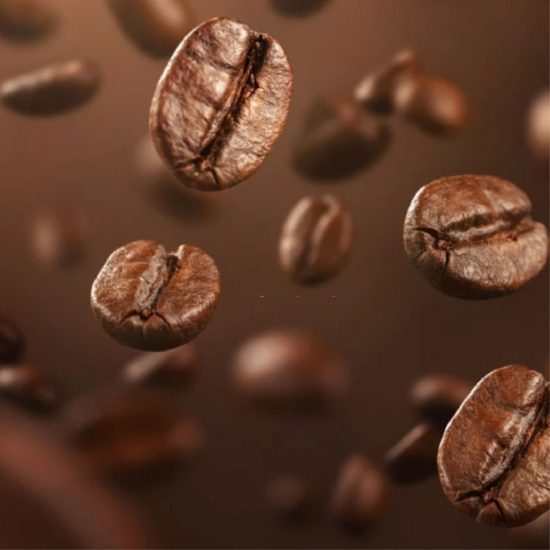 Romina coffee exporting
