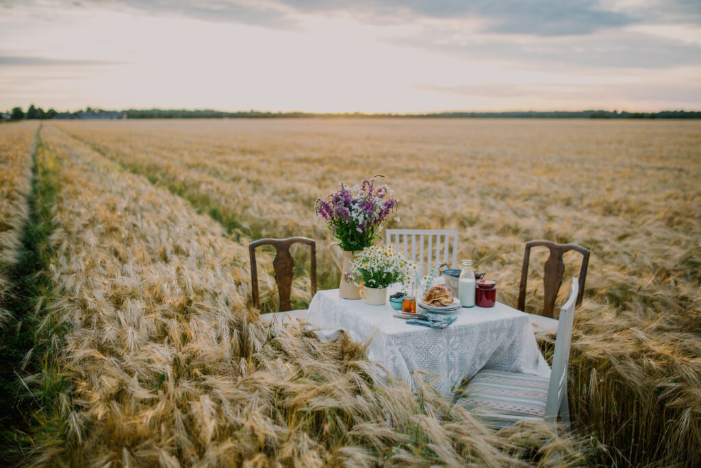 Estonia field with table set