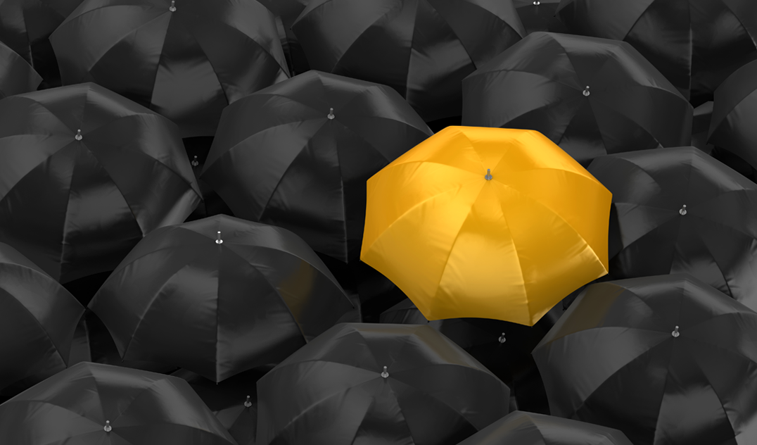 Practical Steps to Implement an Effective Umbrella Branding Strategy